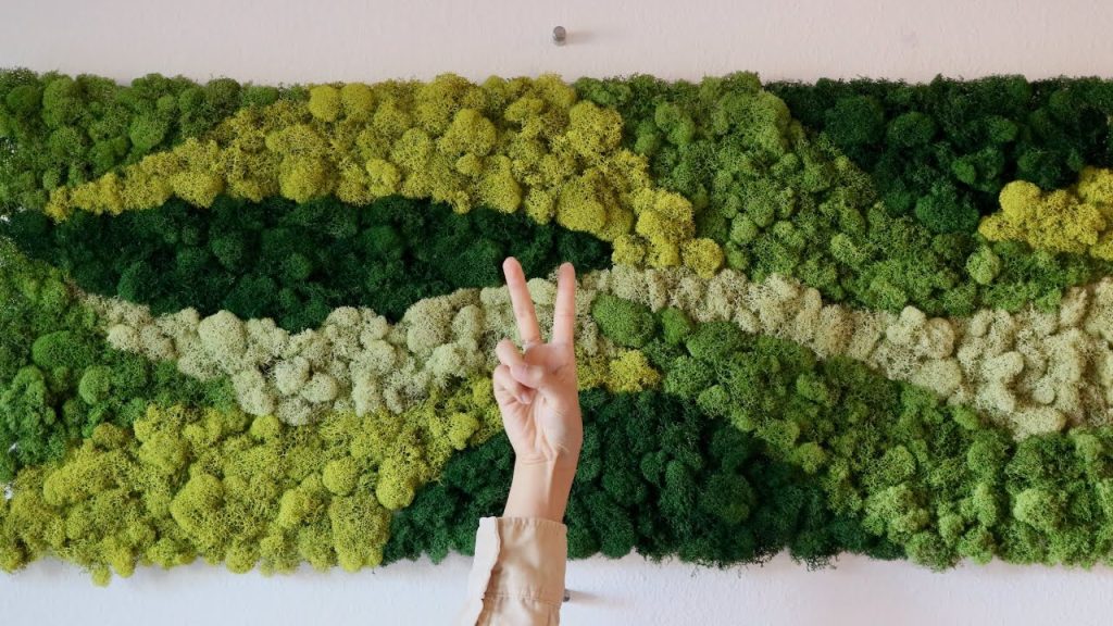 Living Moss Wall Art